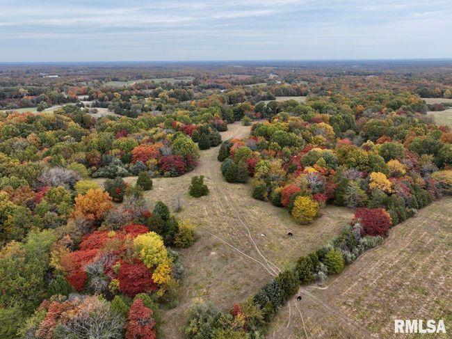 3465 Friendship Loop Loop, Home with 0 bedrooms, 0 bathrooms and null parking in Goreville IL | Image 21