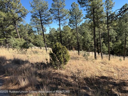 Lot 6 High Mesa Rd, Alto, NM, 88312 | Card Image