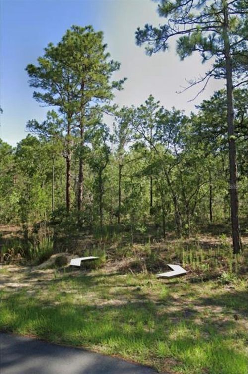 1918 County Road 243c, WILDWOOD, FL, 34785-7415 | Card Image