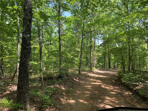 1 Woodhill Lane, Yellville, AR, 72687 | Card Image