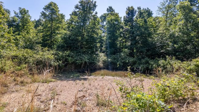 10 acre hobby farm010 | Image 13