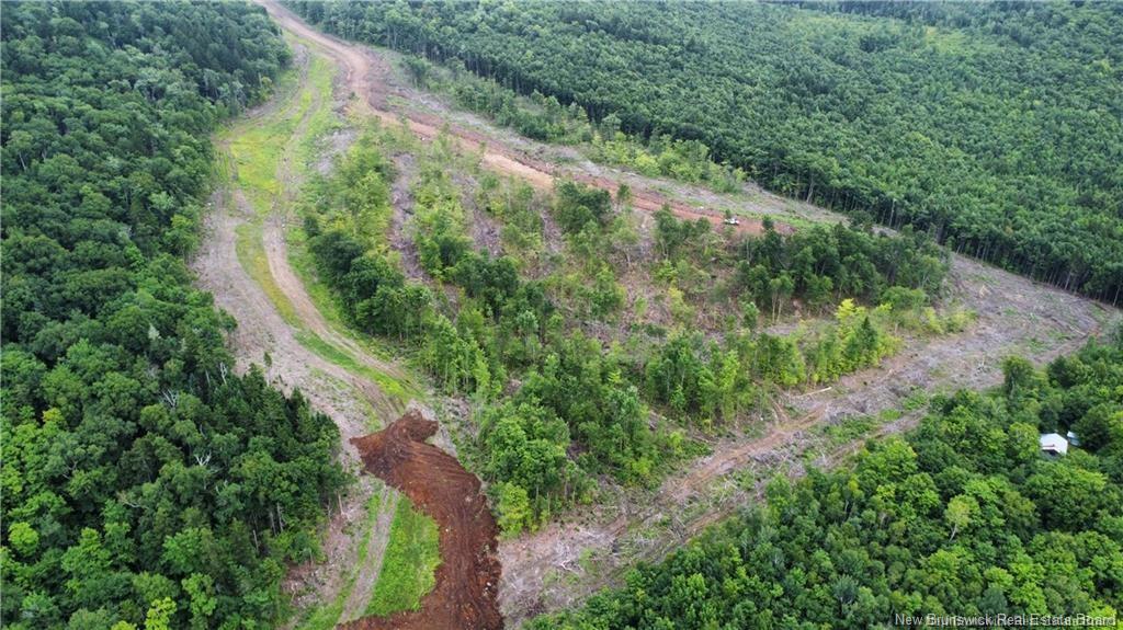 Land in Central Hainesville 4