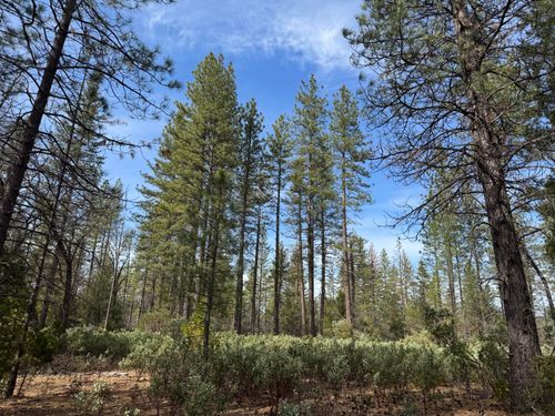 011 Whitmore Village Rd, Whitmore, CA, 96096 | Card Image