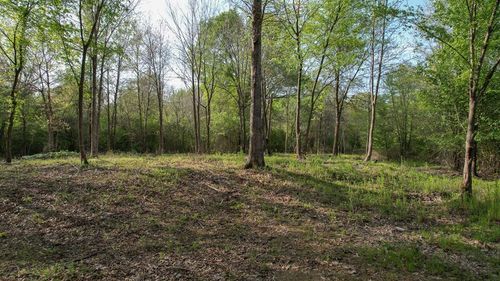 TBD County Road 3213, DeKalb, TX, 75559 | Card Image