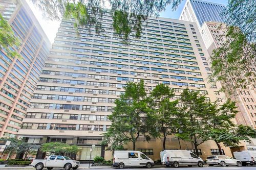 20a-850 N Dewitt Place, Chicago, IL, 60611 | Card Image