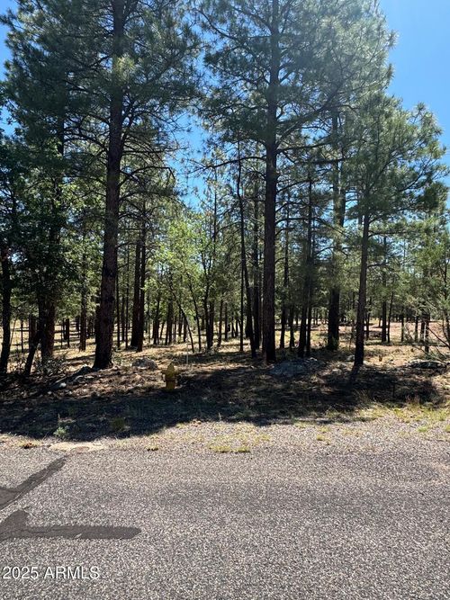 21-2887 Sparrow Dr, Happy Jack, AZ, 86024 | Card Image