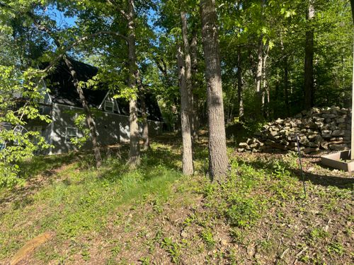 Tbd Black Oak Resort Ln, Lampe, MO, 65681 | Card Image