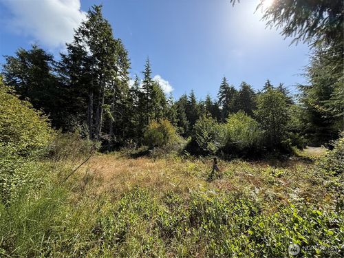 3011 202nd St, Ocean Park, WA, 98640-3124 | Card Image