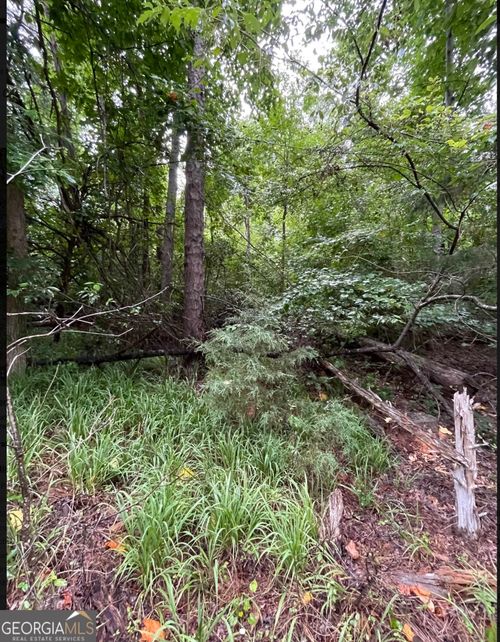 LOT 51 Alpine Way, Lavonia, GA, 30553-2001 | Card Image