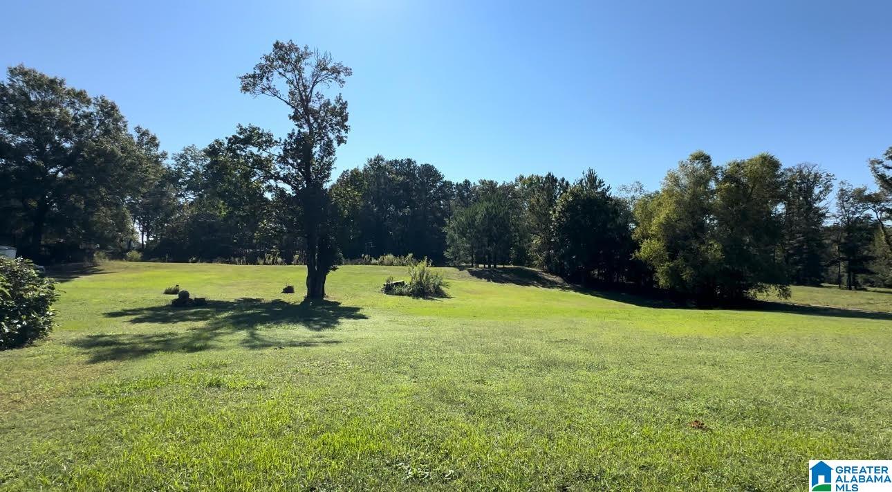 Highway 51 , Sterrett, AL 35147