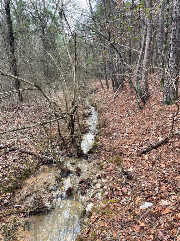 Land in Broken Bow 5