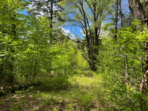 0 Bragg Hill Rd, Waitsfield, VT, 05673 | Card Image