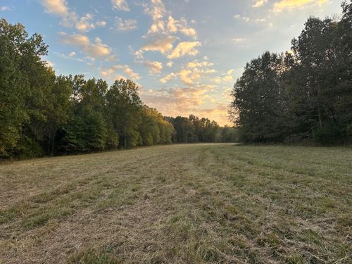 000 County Road 160, Fremont, MO, 63941 | Card Image