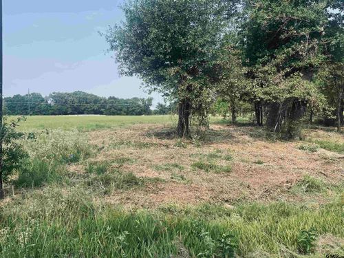 LOT 6 Leach Woods East Cr 1560, Alba, TX, 75410 | Card Image
