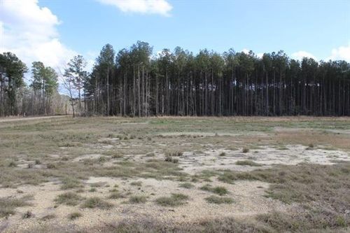 24755 Highway 442, Independence, LA, 70443-3682 | Card Image