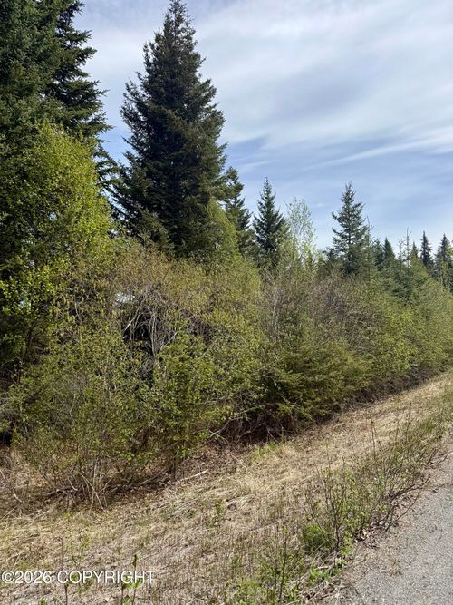 37334 Rogue Cir, Anchor Point, AK, 99556 | Card Image