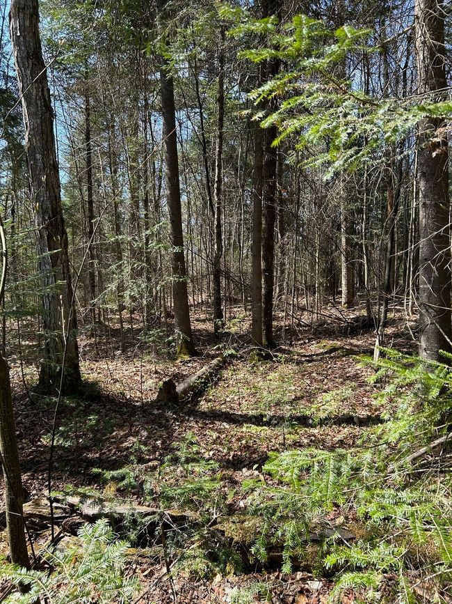 0 Madawaska Rd, Home with 0 bedrooms, 0 bathrooms and null parking in Maynooth ON | Image 10
