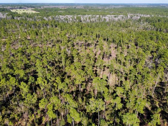 0 Robert White Rd, Home with 0 bedrooms, 0 bathrooms and null parking in Bay Minette AL | Image 13