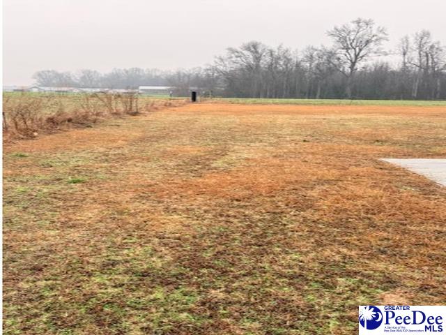 Land in Sumter 3