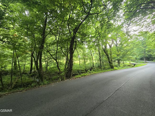 8 Mccarter Hollow Rd, Home with 0 bedrooms, 0 bathrooms and null parking in Sevierville TN | Image 21
