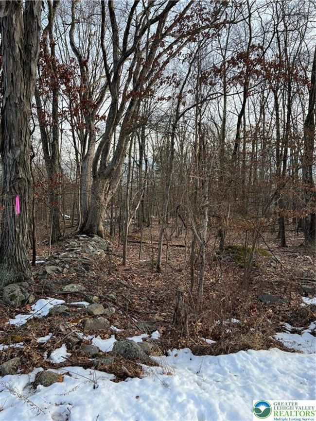 2636 Woodruff Ln, House other with 0 bedrooms, 0 bathrooms and null parking in Stroudsburg PA | Image 5