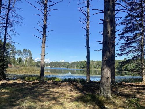 8.01 Acres Pine Shore Lane, KING, WI, 54487 | Card Image