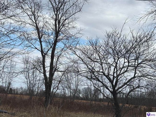 Lot 5 Green Valley Ranch Road, Home with 0 bedrooms, 0 bathrooms and null parking in Battletown KY | Image 6
