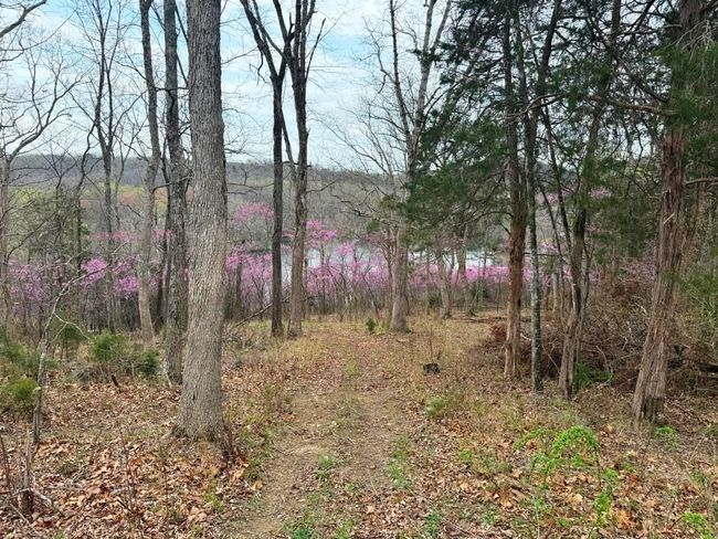 4470 Raspberry Ln, Home with 0 bedrooms, 0 bathrooms and null parking in Pulaski VA | Image 23