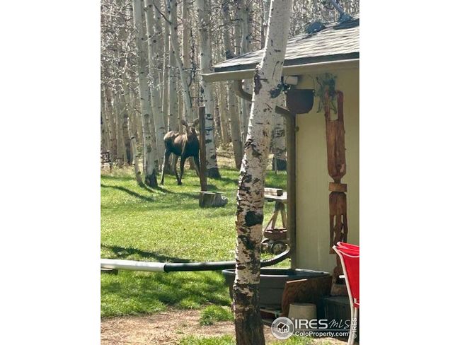 1746 Lump Gulch Rd, House other with 2 bedrooms, 1 bathrooms and null parking in Black Hawk CO | Image 28