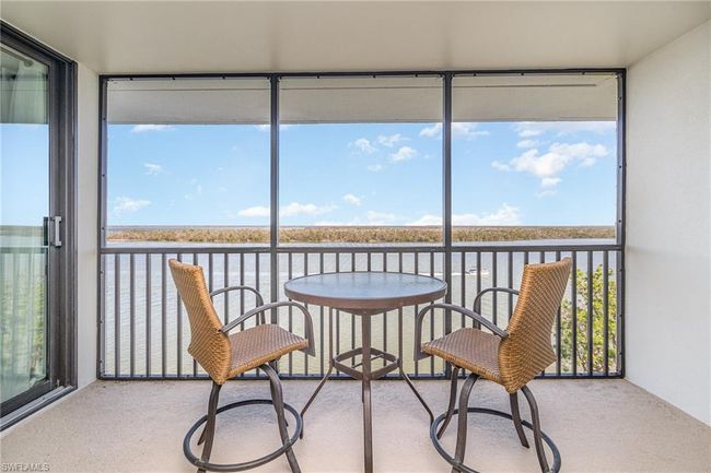 DIRECT ESTERO BAY VIEWS FROM THE SCREENED LANAI. ENTRANCE TO OWNER'S SUITE IS TO LEFT. | Image 25