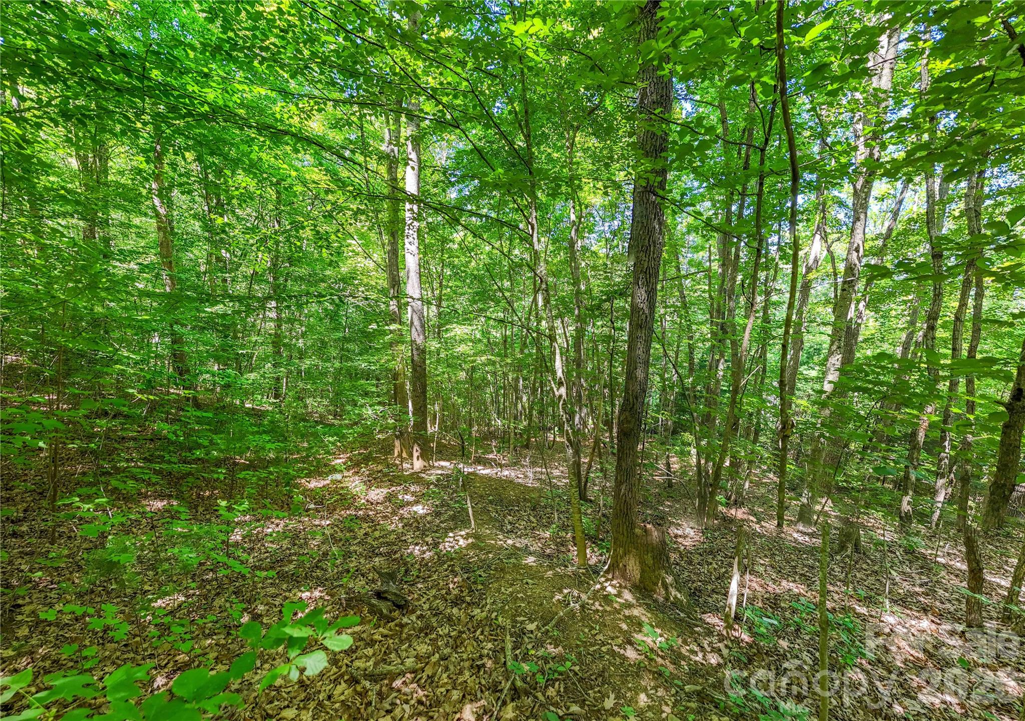 Land in Asheville 4