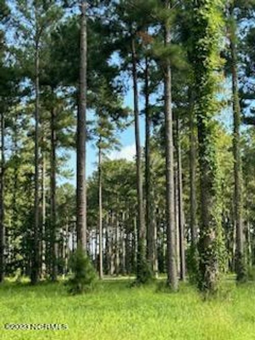 96 278 Dawson Creek Blvd, Oriental, NC, 28571 | Card Image