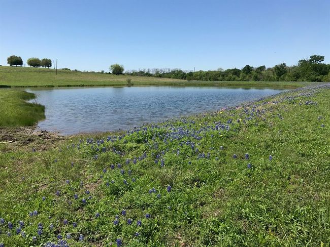 5796 Hurtig Rd, Home with 0 bedrooms, 0 bathrooms and null parking in Bleiblerville TX | Image 5