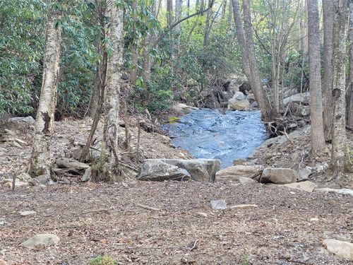 9999 Lytle Cove Road Ext, Swannanoa, NC, 28778 | Card Image