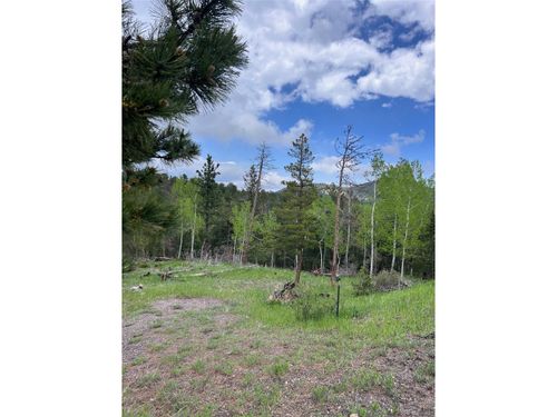 31755 Lillis Pl, Golden, CO, 80403-8534 | Card Image