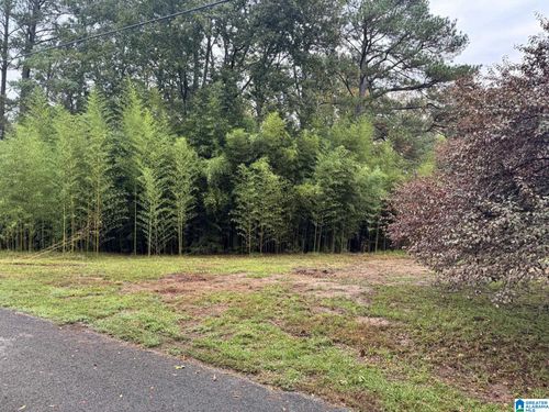 1-159 Brandy Ln, MULGA, AL, 35118-9304 | Card Image