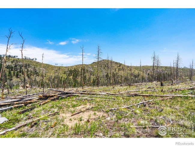 2384 Rist Creek Rd, Home with 0 bedrooms, 0 bathrooms and null parking in Bellvue CO | Image 14