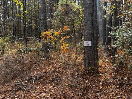 0 Oliver Rd, Haughton, LA, 71037 | Card Image