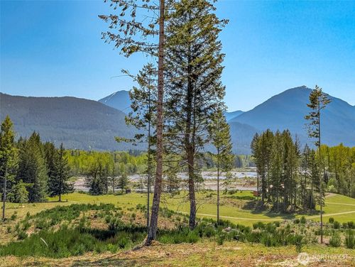 lot-b1-0 Craig Rd, Packwood, WA, 98361 | Card Image