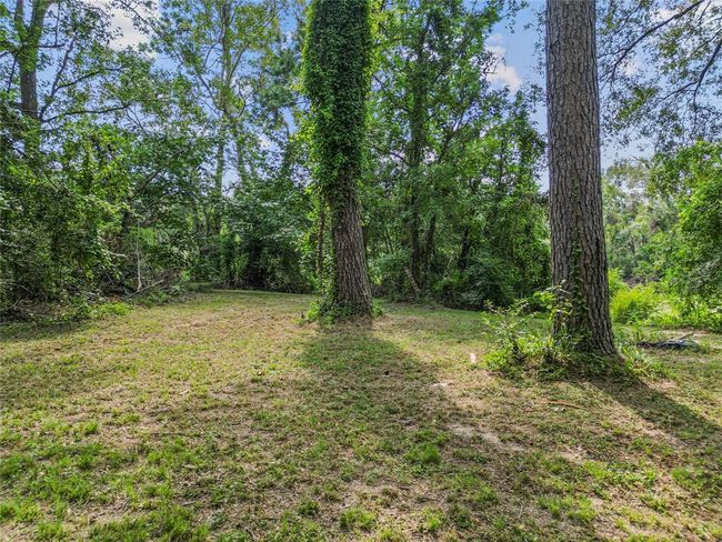 31811 Casey Rd, House other with 3 bedrooms, 4 bathrooms and null parking in New Caney TX | Image 29