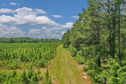 5120 N Brewington Rd, Manning, SC, 29102-7355 | Card Image