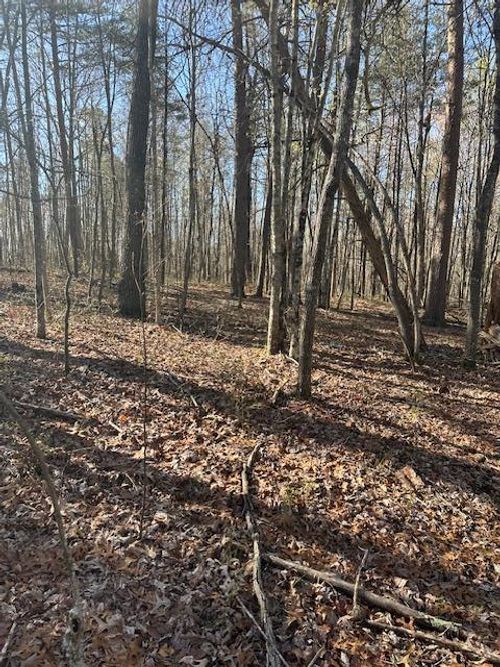 Lot 354 Hood Ln, Wilder, TN, 38589-5058 | Card Image