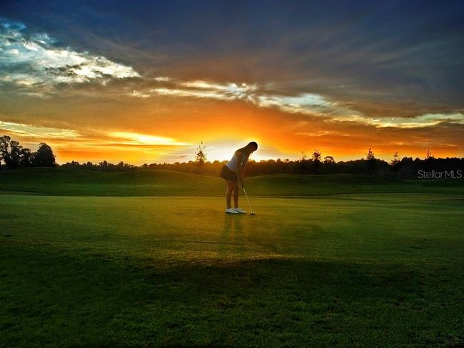 Golf at Sunset | Image 50