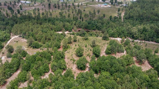 1327 Charlies Loop, Home with 0 bedrooms, 0 bathrooms and null parking in Williston SC | Image 9