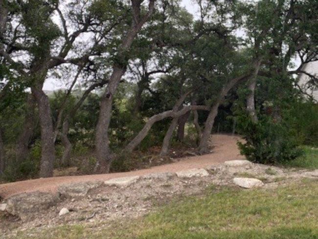 Trail (one of many), winding through out the trees, meandering through the green space in the neighborhood. | Image 36