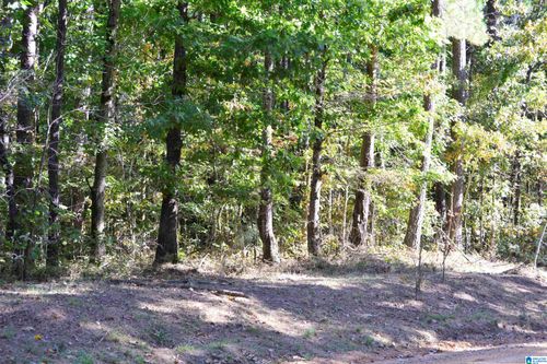 24-lot 24 Gladys Dr, Mc Calla, AL, 35111 | Card Image
