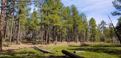 --2259 E T Bear Trail, Lakeside, AZ, 85929 | Card Image