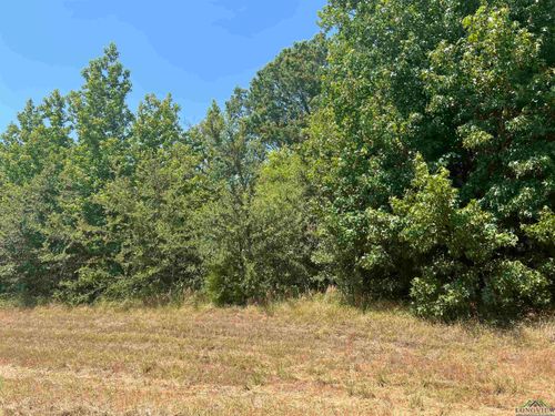 TBD Fm 3042, Pittsburg, TX, 75686 | Card Image