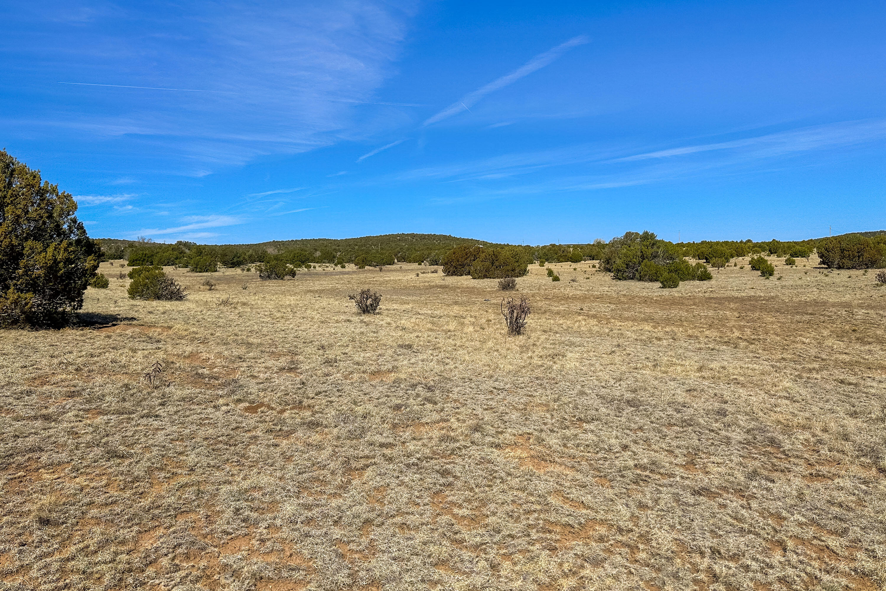 Land in Moriarty 5