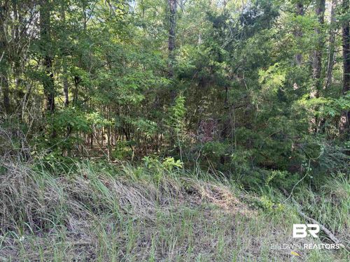 0 Rice Creek Road, Stockton, AL, 36579 | Card Image